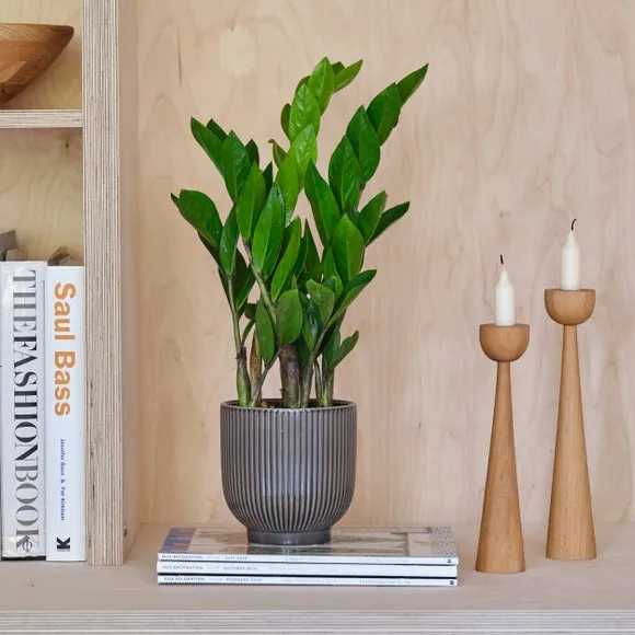 Ribbed Plant Pot with Glazed Finish - Grey, Ceramic image