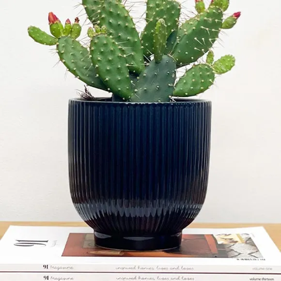 Ribbed Plant Pot with Glazed Finish - Navy, Ceramic