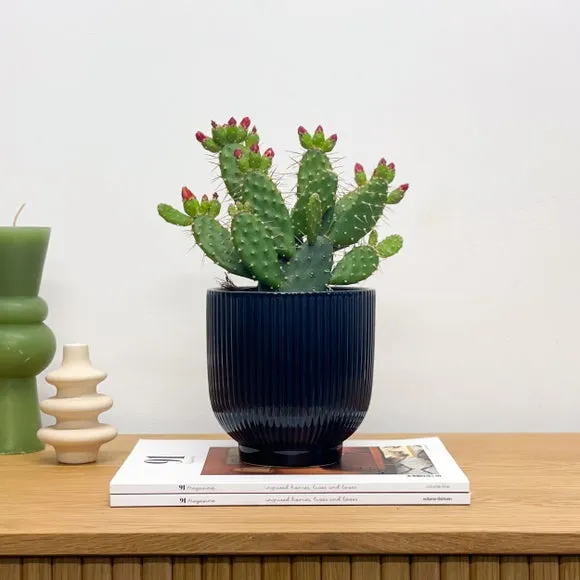 Ribbed Plant Pot with Glazed Finish - Navy, Ceramic