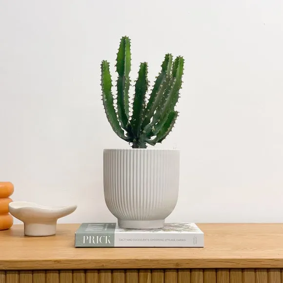 Ribbed Plant Pot with Glazed Finish - White, Ceramic