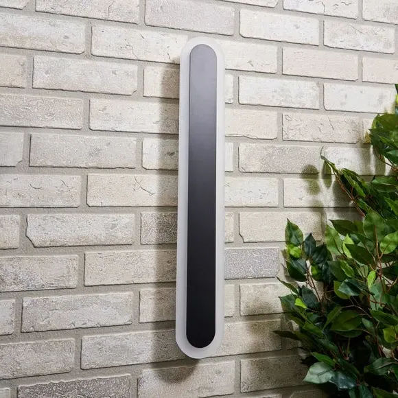 LED Outdoor Wall Light Color Changing - Black