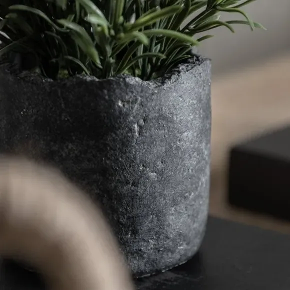 Artificial Fern Plant - Multicolor, Cement Pot