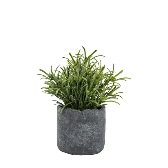 Artificial Fern Plant - Multicolor, Cement Pot