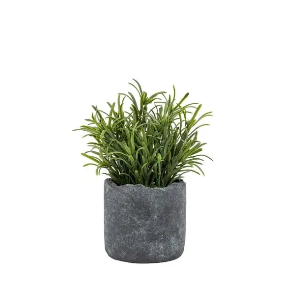 Artificial Fern Plant - Multicolor, Cement Pot