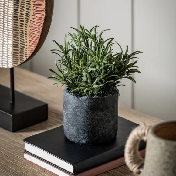 Artificial Fern Plant - Multicolor, Cement Pot