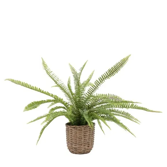 Artificial Fern Plant - Multicolor, Wicker