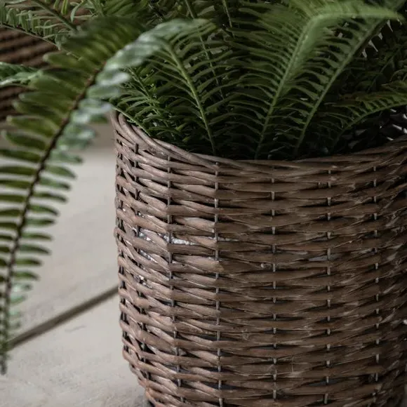 Artificial Fern Plant - Multicolor, Wicker