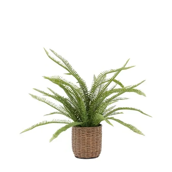 Artificial Fern Plant - Multicolor, Wicker