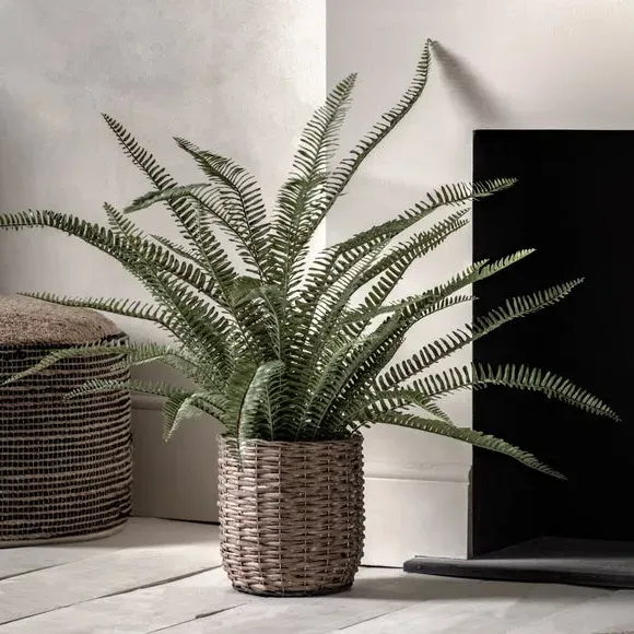 Artificial Fern Plant - Multicolor, Wicker