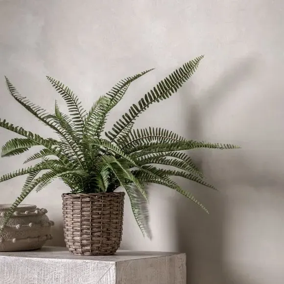 Artificial Fern Plant - Multicolor, Wicker image