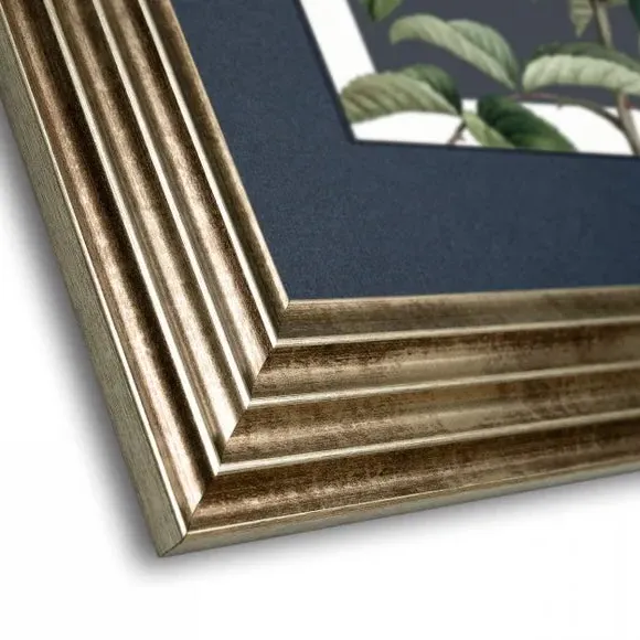 Framed Canvas Print Rosa Moschata - Green