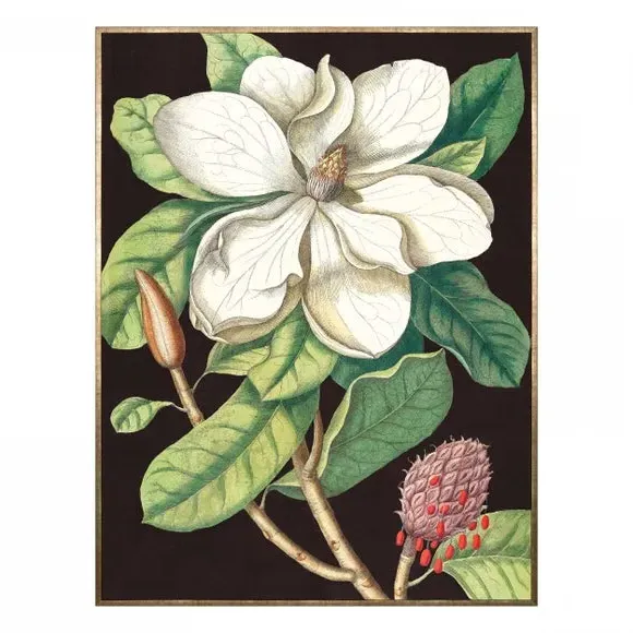 Framed Canvas Wall Art - Multicolor, Botanical