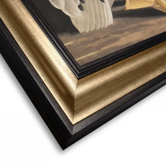 Framed Canvas Wall Art - White Pelican Print