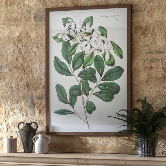 Framed Print Botanical Art - Green, Paper image