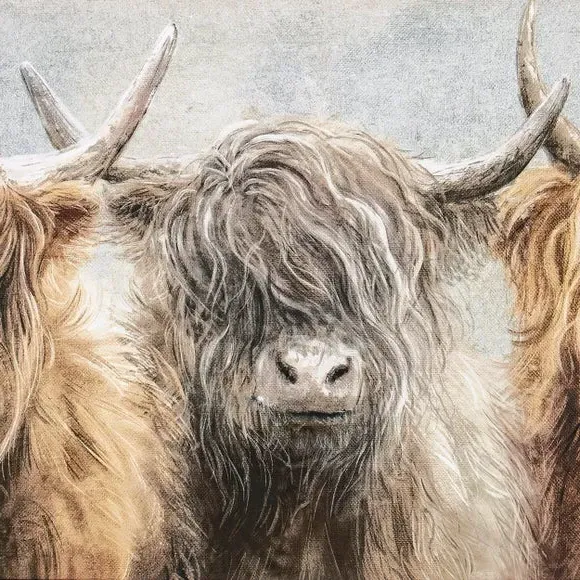 Highland Cow Framed Canvas - Grey
