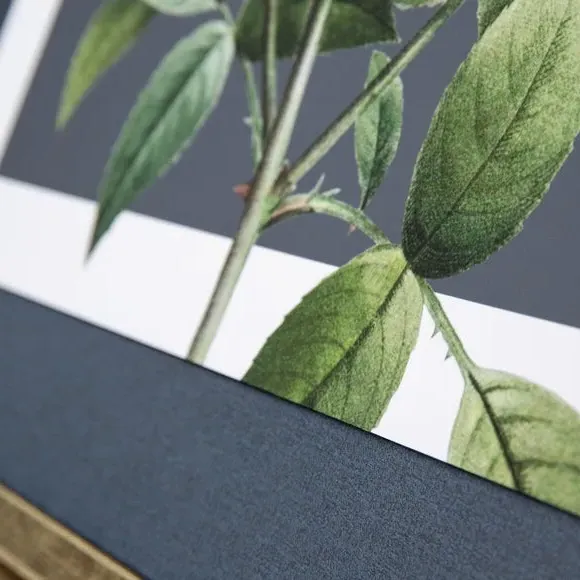 Rectangular Canvas Print - Green, Framed