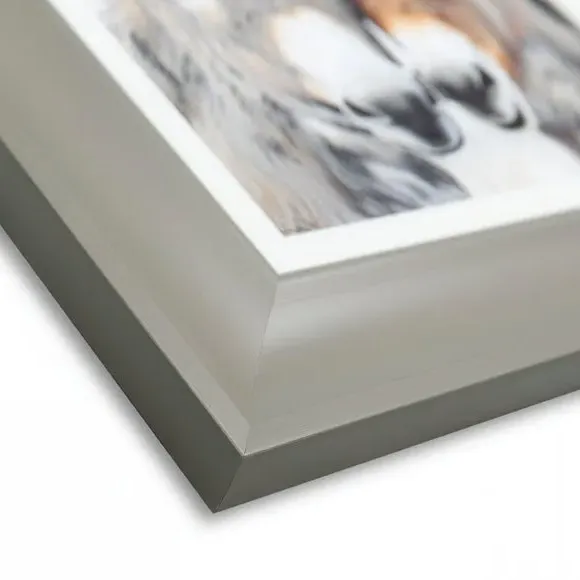 Set of 2 Framed Animal Prints - Brown