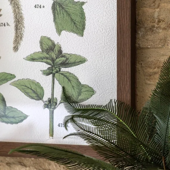 Set of 2 Framed Prints Botanical - Green
