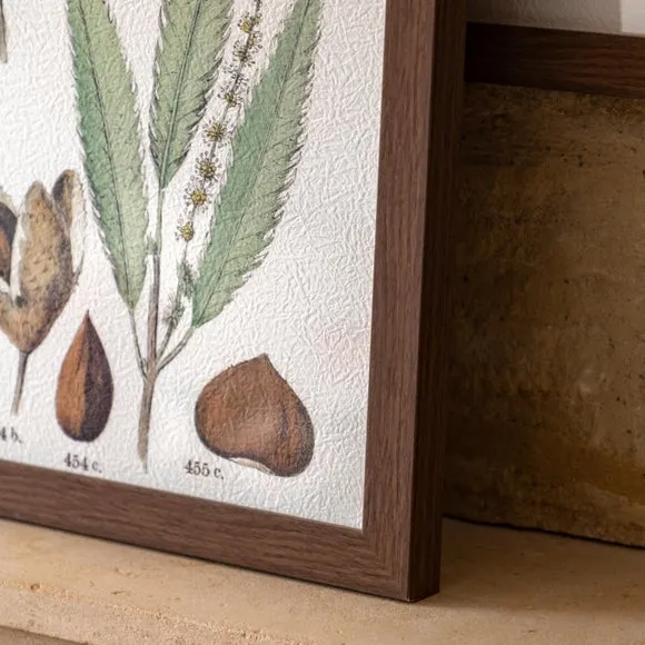 Set of 2 Framed Prints Botanical - Green