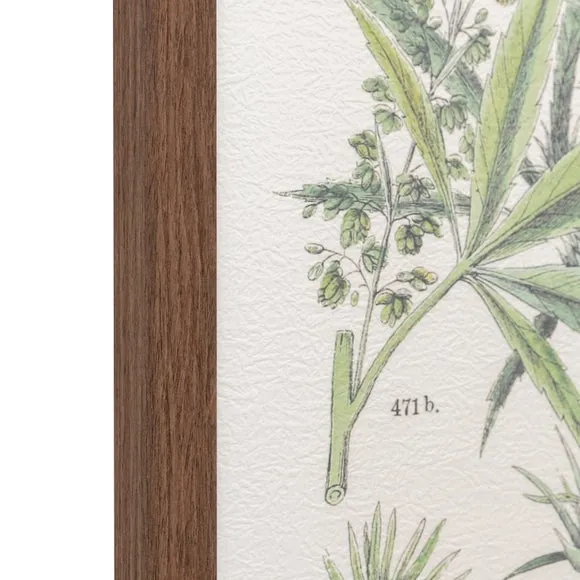 Set of 2 Framed Prints Botanical - Green
