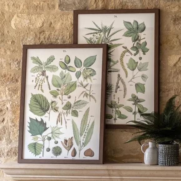 Set of 2 Framed Prints Botanical - Green image