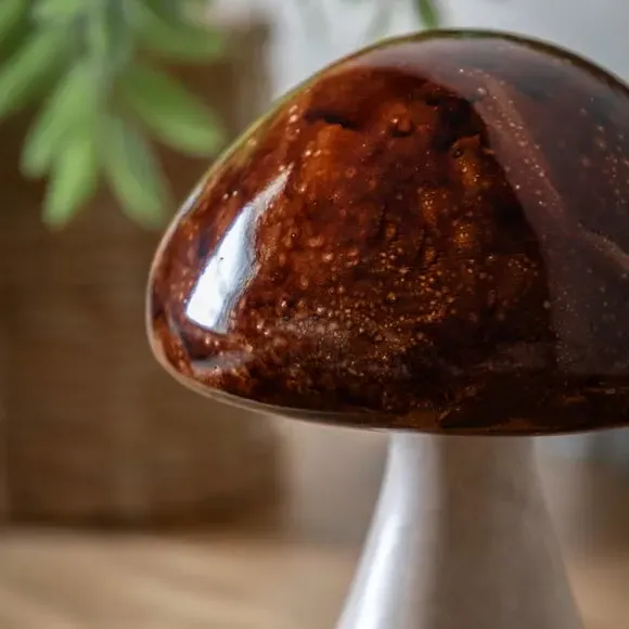Set of 2 Mushroom Ornaments - Brown, Resin