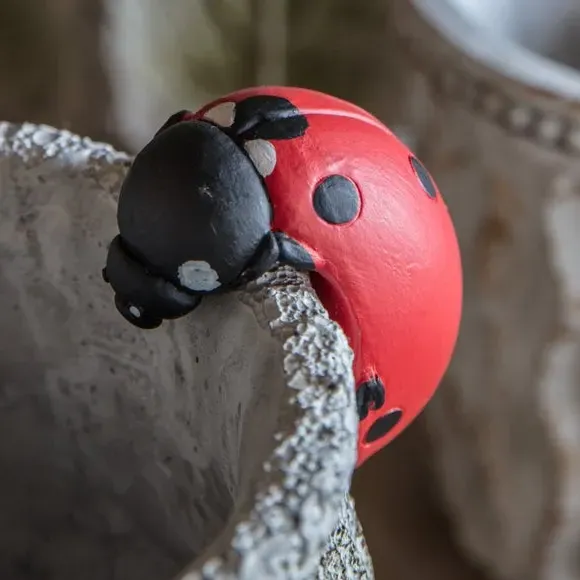 Set of 2 Pot Hangers Ladybird Design - Polyresin