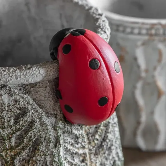 Set of 2 Pot Hangers Ladybird Design - Polyresin