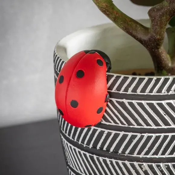 Set of 2 Pot Hangers Ladybird Design - Polyresin