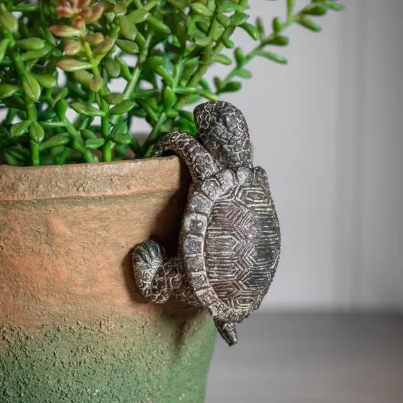 Set of 2 Tortoise Pot Hangers - Natural, Polyresin