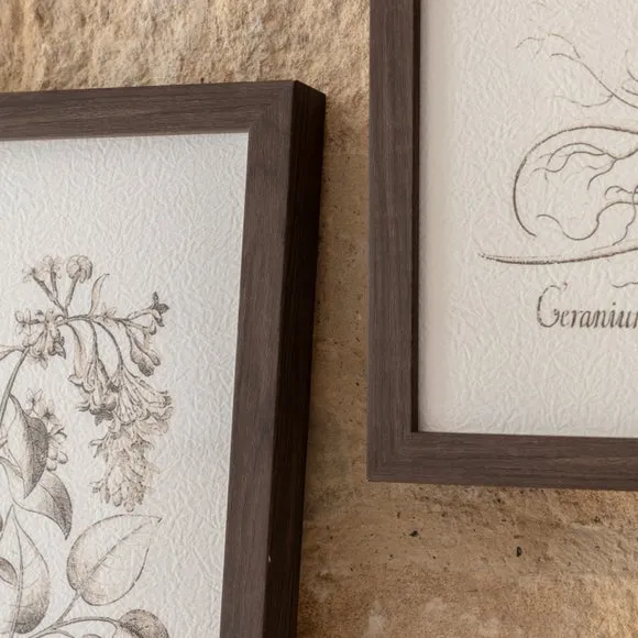 Set of 3 Framed Prints Botanical - Black, Wood
