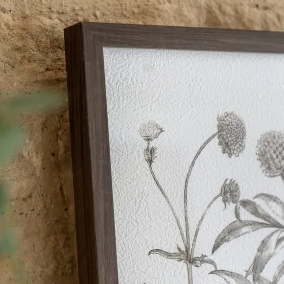 Set of 3 Framed Prints Botanical - Black, Wood