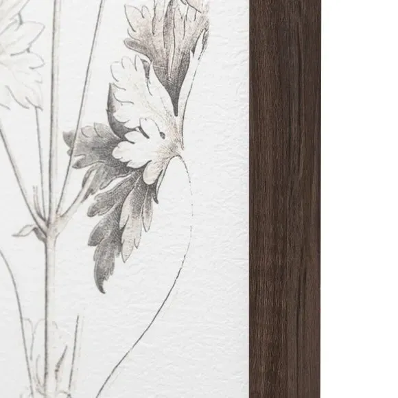 Set of 3 Framed Prints Botanical - Black, Wood