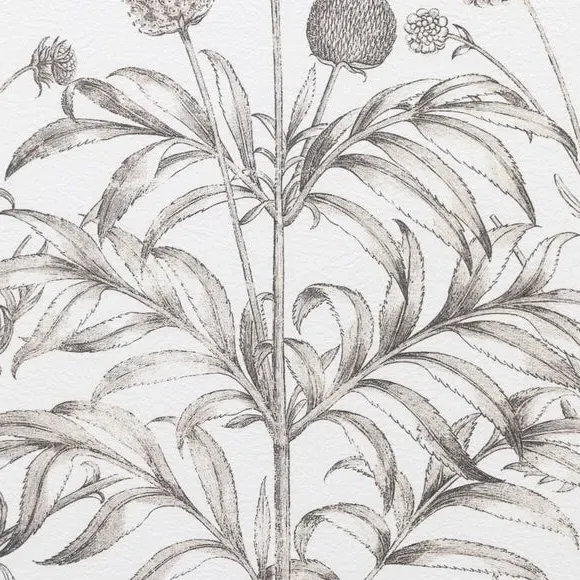 Set of 3 Framed Prints Botanical - Black, Wood