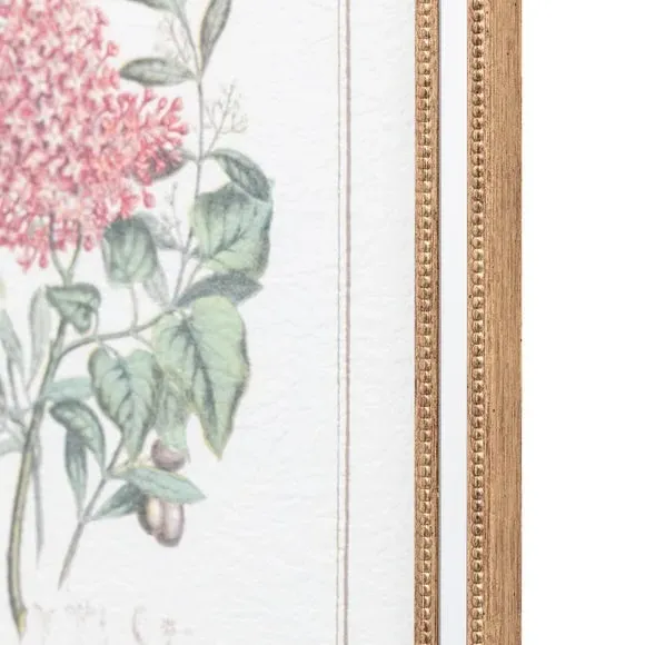 Set of 4 Framed Prints Floral - Green, Natural
