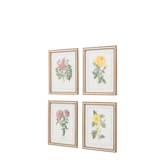 Set of 4 Framed Prints Floral - Green, Natural