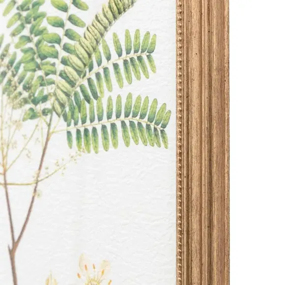 Set of 4 Framed Prints - Green, Natural Frame