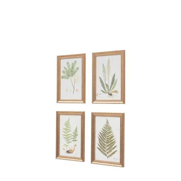 Set of 4 Framed Prints - Green, Natural Frame