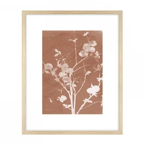 Set of 4 Framed Prints - Orange, Botanical