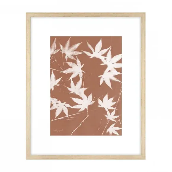 Set of 4 Framed Prints - Orange, Botanical