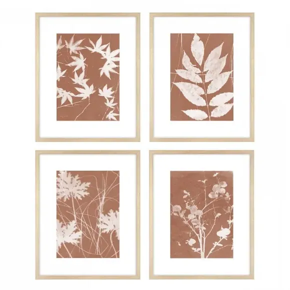 Set of 4 Framed Prints - Orange, Botanical