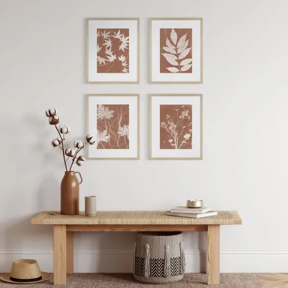 Set of 4 Framed Prints - Orange, Botanical image