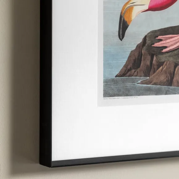 Wading Flamingo Framed Print - Pink