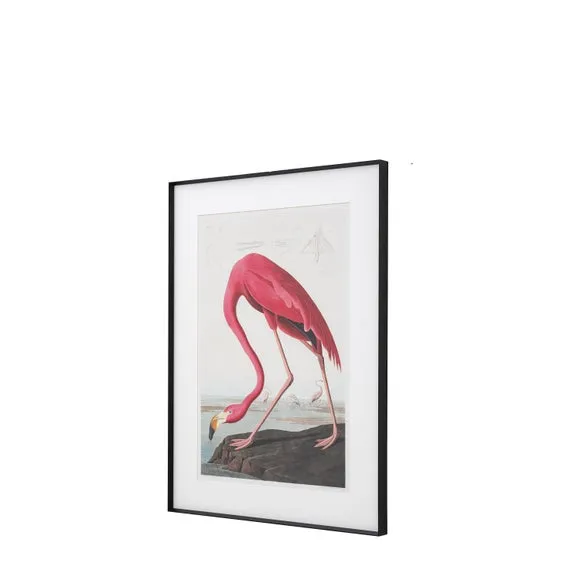 Wading Flamingo Framed Print - Pink