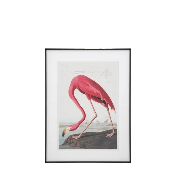 Wading Flamingo Framed Print - Pink