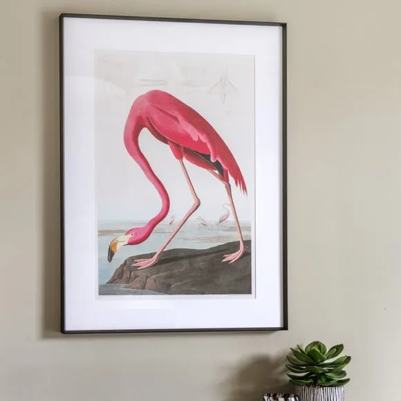 Wading Flamingo Framed Print - Pink image