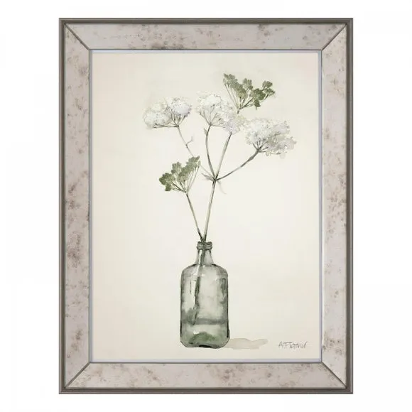 Wild Parsnip Framed Print - Natural image