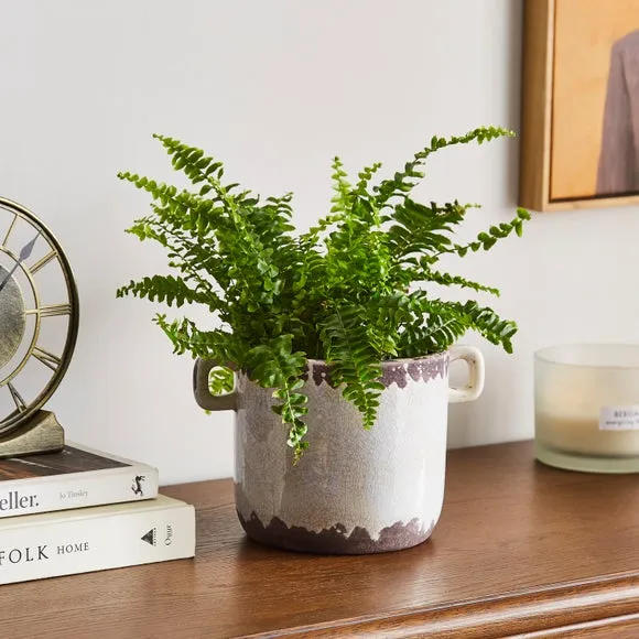 Ceramic Plant Pot with Crackle Finish - White image