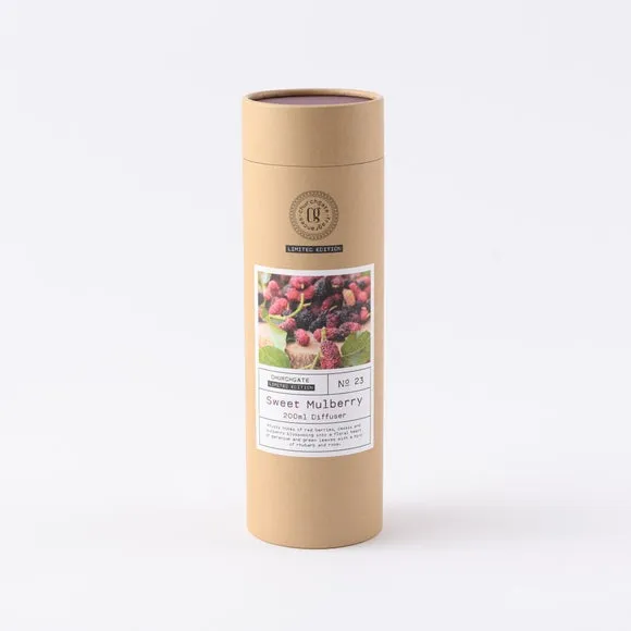 Reed Diffuser with Mulberry Scent - Purple Glass