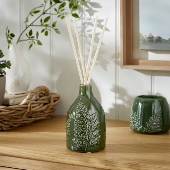 Reed Diffuser with Vessel - Green, Olive Fern image